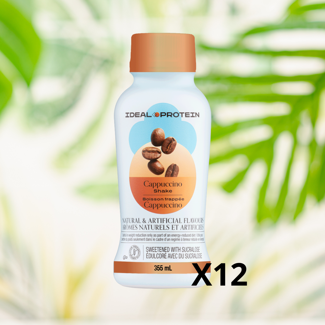 Boisson au cappuccino (prêt-à-servir) Paquet de 12