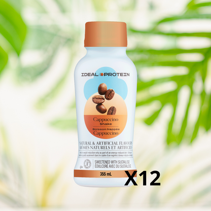Boisson au cappuccino (prêt-à-servir) Paquet de 12